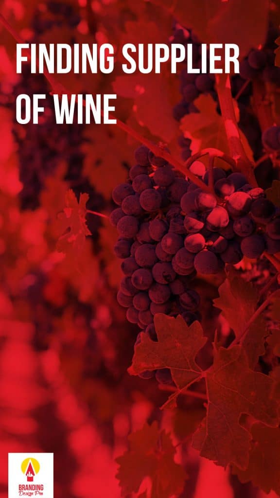 How To Start A Winery Business Starting A Wine Business