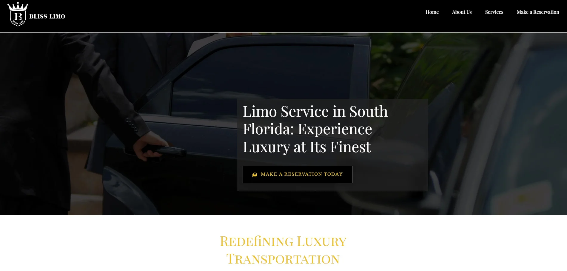 Limousine Professional Website Designer for Hire 3